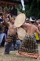 Combats Bali